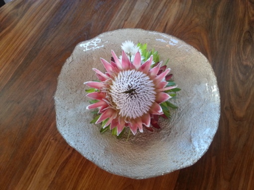 Protea in bowl